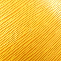 Túi xách Louis Vuitton Epi Saint Jacques M52279 - Hàng hiệu Chính hãng 804259