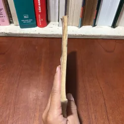 [Vui Lòng Xem Kỹ Tình Trạng Trước Khi Lựa Chọn] - II Sách Công Giáo: Mai, Mốt?  734538