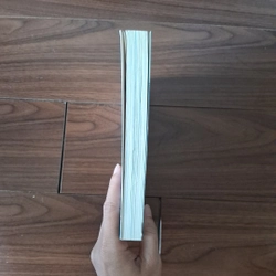Một mình ở châu âu - phan việt 523574