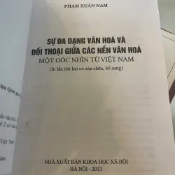 SỰ ĐA DẠNG VĂN HOÁ VÀ ĐỐI THOẠI GIỮA CÁC NỀN VĂN HOÁ MỘT GÓC NHÌN TỪ VIỆT NAM  1027581
