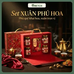 Sét quà tết 2026 - Xuân Phú Hoa ( kèm túi)  737381