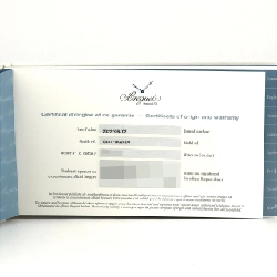 Breguet Marine TI 5517TI/G2/5ZU TI tự động - Hàng hiệu Authentic 888014