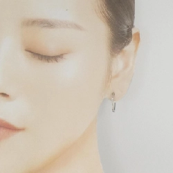 PT900 Bông tai kim cương 0.30CT - Hàng hiệu Chính hãng 875000