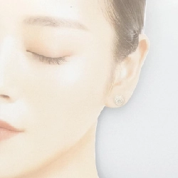 Khuyên tai Hermès Ex Libris TPM - Hàng hiệu Chính hãng 846495