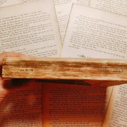 Trả Giá - Triệu Xuân 746343