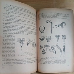 Thực Tập Hình Thái Và Giải Phẫu Thực Vật (Xb 1981) - Trần Công Khánh 446524