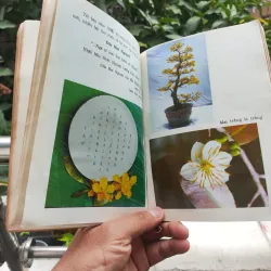 Kỹ Thuật Trồng Và Ghép Mai - Huỳnh Văn Thới 928913