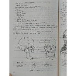 Tự học vẽ - Phạm Viết Song 536185