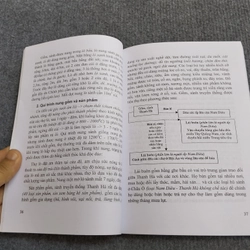 NGHỀ TRUYỀN THỐNG Ở HỘI AN 464410
