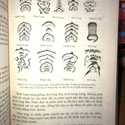 Tri thức cổ đại hoà nhập trong đời sống hiện đại - Phong thuỷ  707681