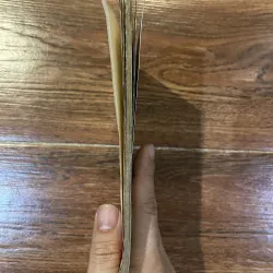 Địa lý tả ao bí truyền - Địa đạo diễn ca  (o5) 974725