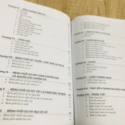 X QUANG NGỰC  1013044