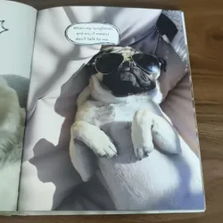 Doug the Pug - King of the Internet - Leslie Mosier 697452