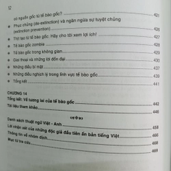 TẾ BÀO GỐC  505993