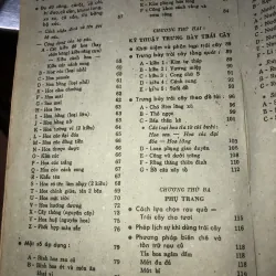 Kỹ thuật trang trí hoa quả & tỉa rau củ  1043523