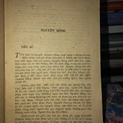 Tuyển tập Nguyên Hồng 1 973368