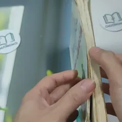 Những Điều Cần Biết Cho Các Cặp Vợ Chồng Trẻ - Nuôi Trẻ Từ Sơ Sinh Đến 12 Tuổi - BS. Lê T 727350