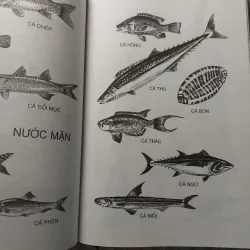 TỪ ĐIỂN SINH HỌC PHỔ THÔNG - BÌA CỨNG, KHỔ LỚN, CÓ MINH HỌA 732250
