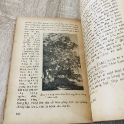 NHỮNG CÂY CÓ DẦU BÉO Ở VIỆT NAM  956949