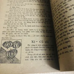 MÓN ĂN VIỆT NAM TỪ RAU CỦ QUẢ  956926