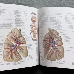 Atlas of Anatomy - Giải phẫu học 971633