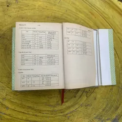 TỪ ĐIỂN TIẾNG VIỆT - VIỆN NGÔN NGỮ HỌC 799943