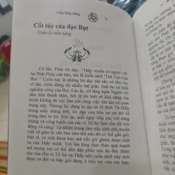 Chân Pháp Đăng - TÌNH YÊU BẤT DIỆT 381883