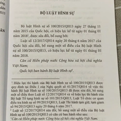 BỘ LUẬT HÌNH SỰ 2015 545930