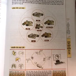 Mai hoa dịch số 719447