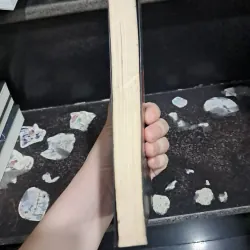 Chạy trốn và mất tích 1020122