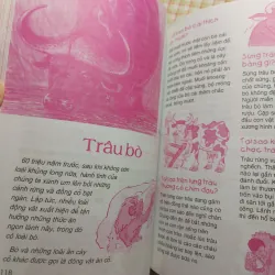 ĐỘNG VẬT • THẾ GIỚI DIỆU KỲ 782629