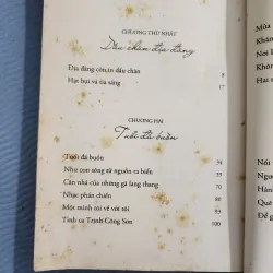 Trịnh công sơn và cây đàn lya của hoàng tử bé | hoàng phủ ngọc tường  1002127