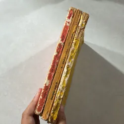 Anh ngữ thực dụng - Lê Bá Kông 747827