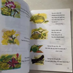 135 câu đố giúp bé phát triển trí thông minh  800964