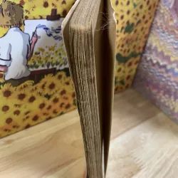 Bản Tình Ca Giã Biệt - Rabindranat Tagore 925599