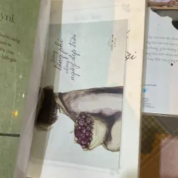 Đừng lãng phí những ngày trời đẹp 972361