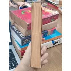 Small crimes in an ages of abundance - Matthew Kneale 675270