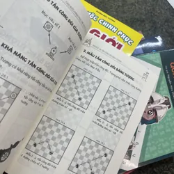 Cờ vua chơi mà học, Từng bước chinh phục thế giới cờ vua 689289