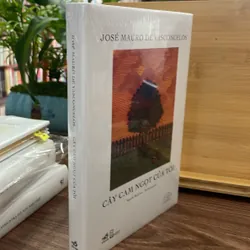 Cây Cam Ngọt của tôi 740604