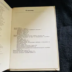 Thu thập và chế biến nấm 728091