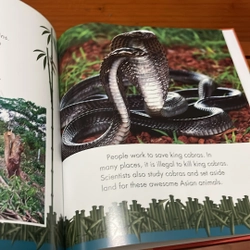 PICTURE BOOK King cobras are awesome! 536371