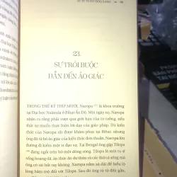 Sư tử tuyết bờm xanh - Surya Das 1021747