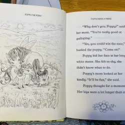 [Sách tiếng Anh 2hand] Like new 90% - 🦄 Fairy Animals of Misty Wood – Lily Small 🦔 779206