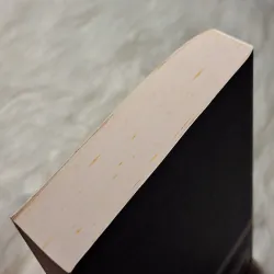 Polybius - The Rise of the Roman Empire 957151