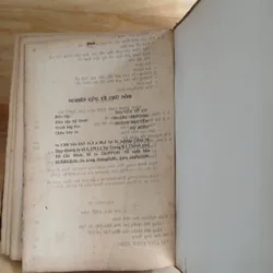 Loại Hình Các Ngôn Ngữ & Nghiên Cứu Về Chữ Nôm 736945