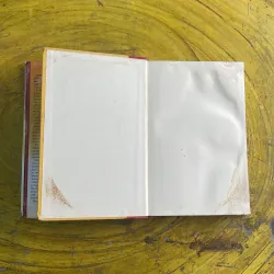 THE COUPLE’S DISEASE - LAWRENCE S. HAKIM MD, FACS 973919