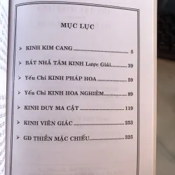 Chư kinh tập yếu - Thích Duy Lực dịch 991700