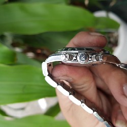 Đồng hồ Roberta Scarpa Nội Địa Nhật 3623