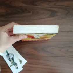 Yêu em từ cái nhìn đầu tiên 934872