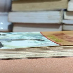 truyện Kiều 🌊 595307